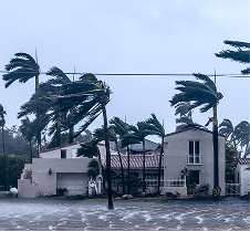 insurance recovery